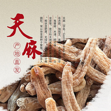 正宗云南昭通野特产生特级精选天麻500克包邮可免费打粉