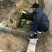 白玉蜗牛养殖基地直供，包技术，签订回收合同
