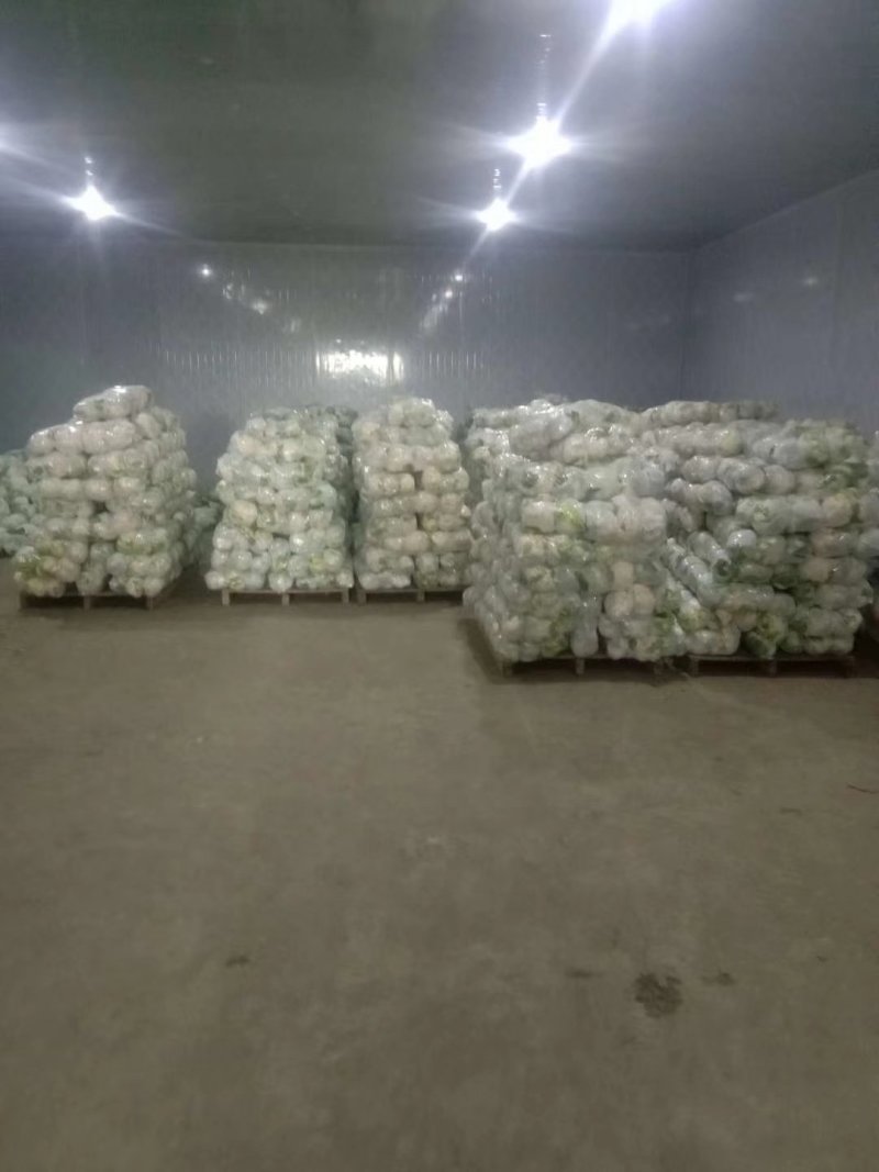 《精品》松花/实花，欢迎采购，货源充足，质量可靠