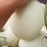 玉菇甜瓜，香甜可口的美味，量大，惠民县基地