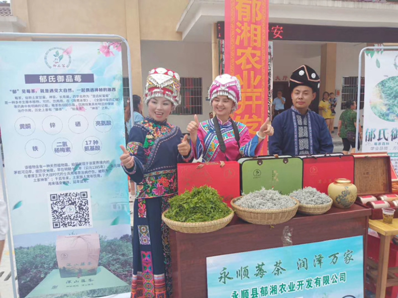 湘西土家族特产藤茶莓茶雪茶绿色食品手工茶银丝茶