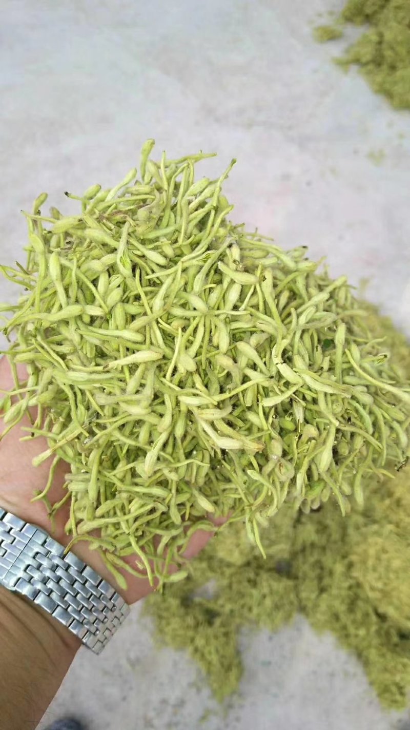 金银花正品河南封丘金银花中药材大货批发一手货源