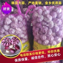 【精品】山东大蒜干蒜金乡大蒜大量上市质优价廉欢迎采购