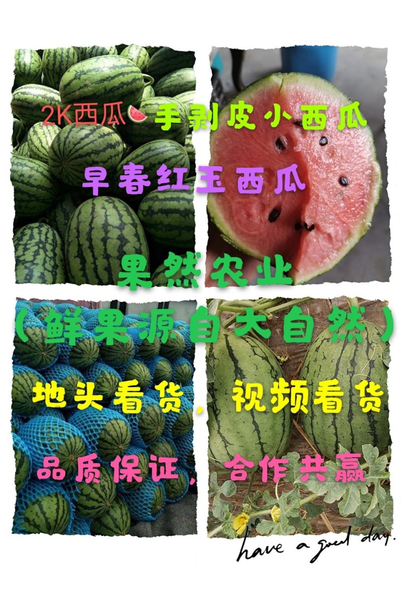 【推荐】小糖丸西瓜，山东2k西瓜，潍坊2K西瓜，诚信经营