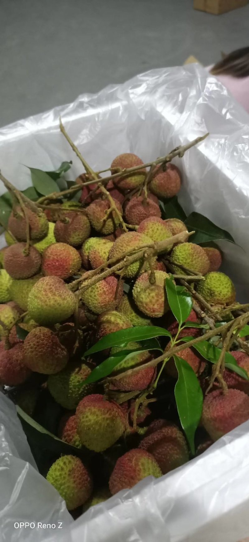广西灵山荔枝妃子笑应季水果大量供应串果，粒果