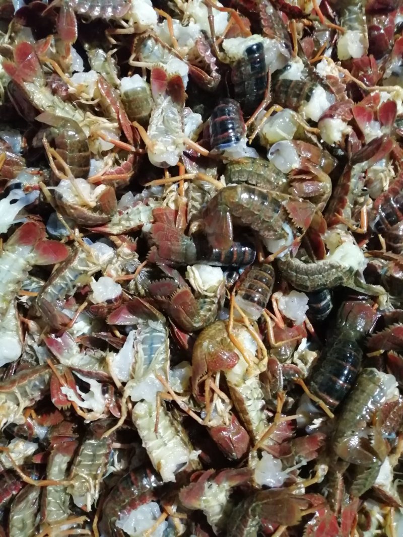 小龙虾鲜虾尾冻品虾尾酒店虾尾虾球小龙虾虾仁，