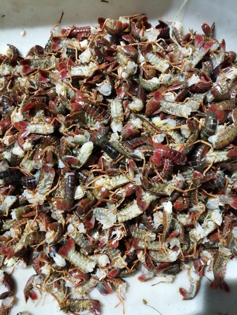 小龙虾鲜虾尾冻品虾尾酒店虾尾虾球小龙虾虾仁，
