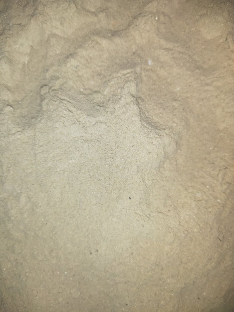 粉状50目贝壳粉，精纯高钙研磨微瑕无杂质厂家直供