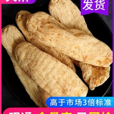 云南昭通小草坝天麻，广东热销中，欢迎咨询购买
