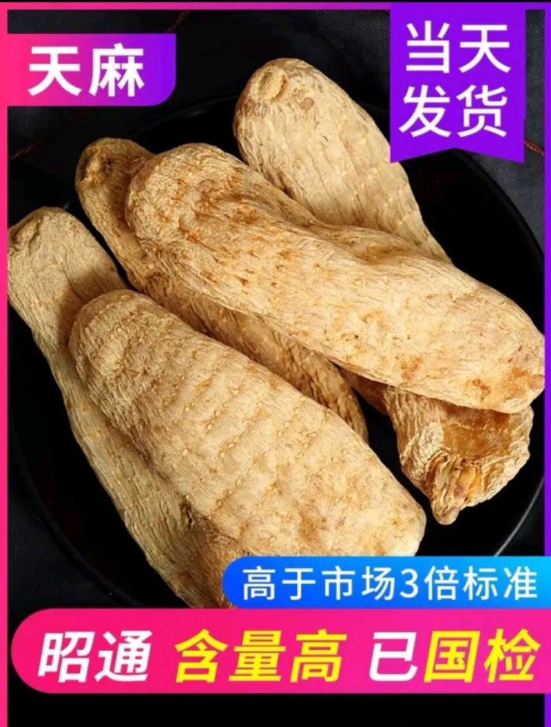 云南昭通小草坝天麻，广东热销中，欢迎咨询购买