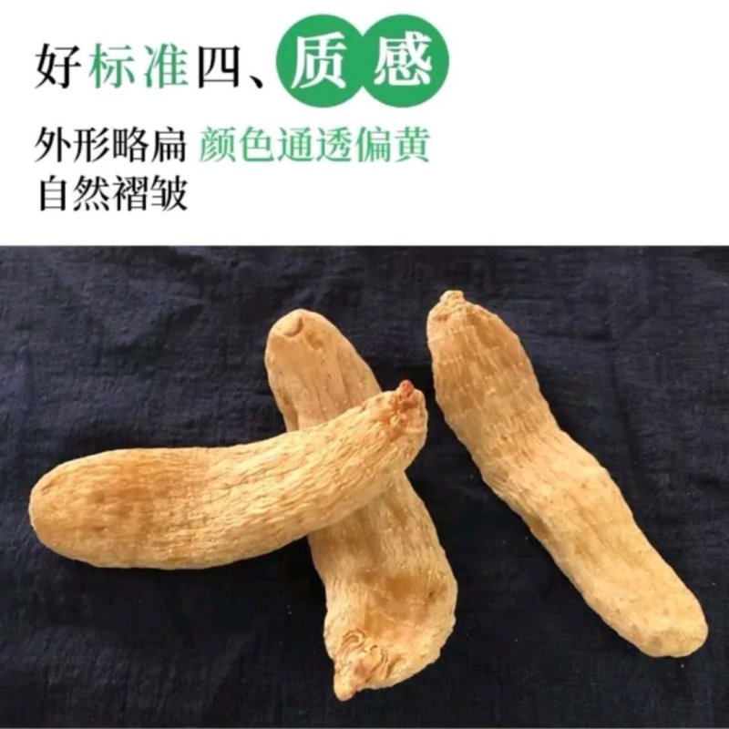 云南昭通小草坝天麻，广东热销中，欢迎咨询购买