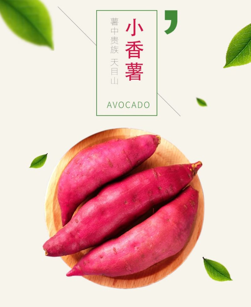 海南红薯小香薯（品种心香）黄心支持电商货，海南代办