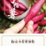 海南红薯小香薯（品种心香）黄心支持电商货，海南代办