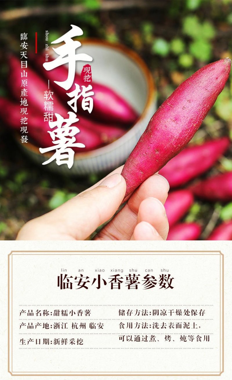 海南红薯小香薯（品种心香）黄心支持电商货，海南代办
