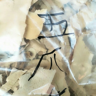 五爪龙，常年批发供应冷背中药材五爪龙