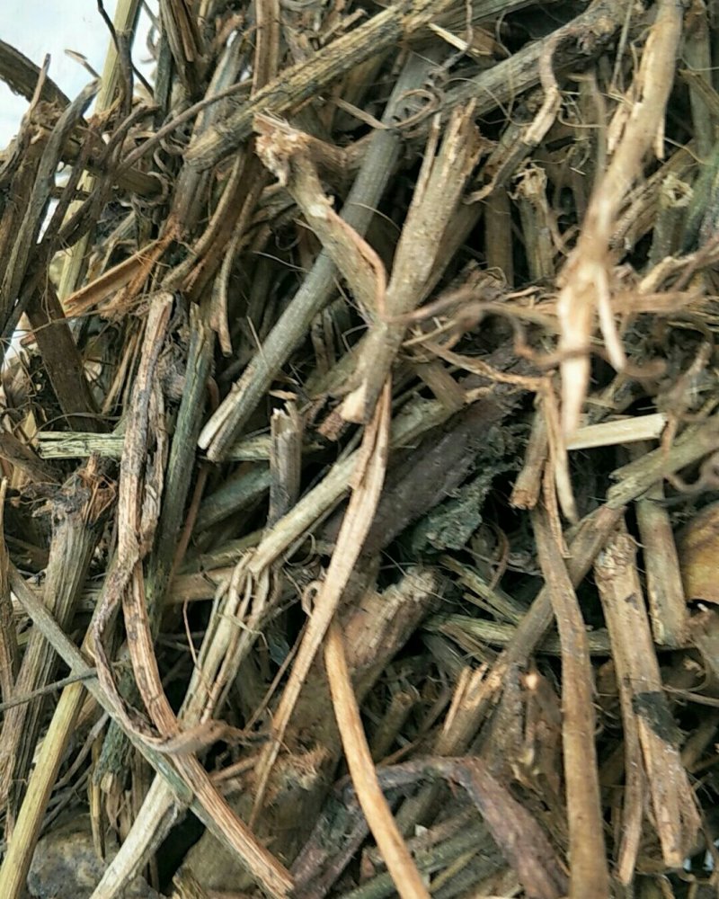 狮子尾，常年批发供应冷背中药材狮子尾