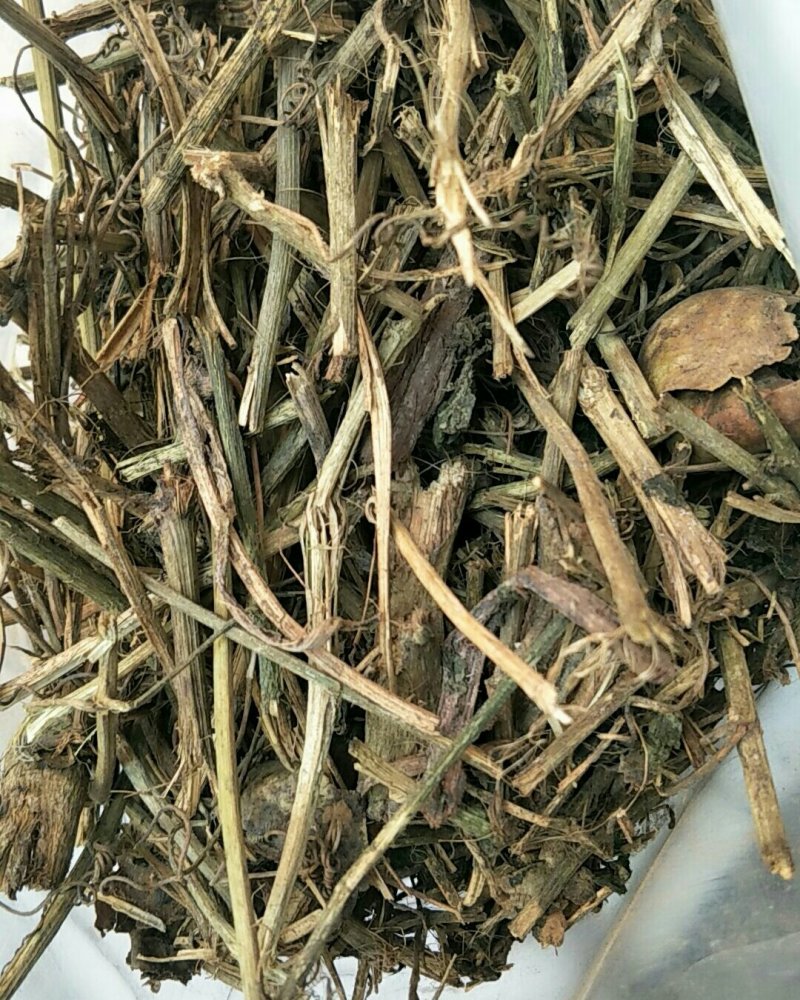 狮子尾，常年批发供应冷背中药材狮子尾