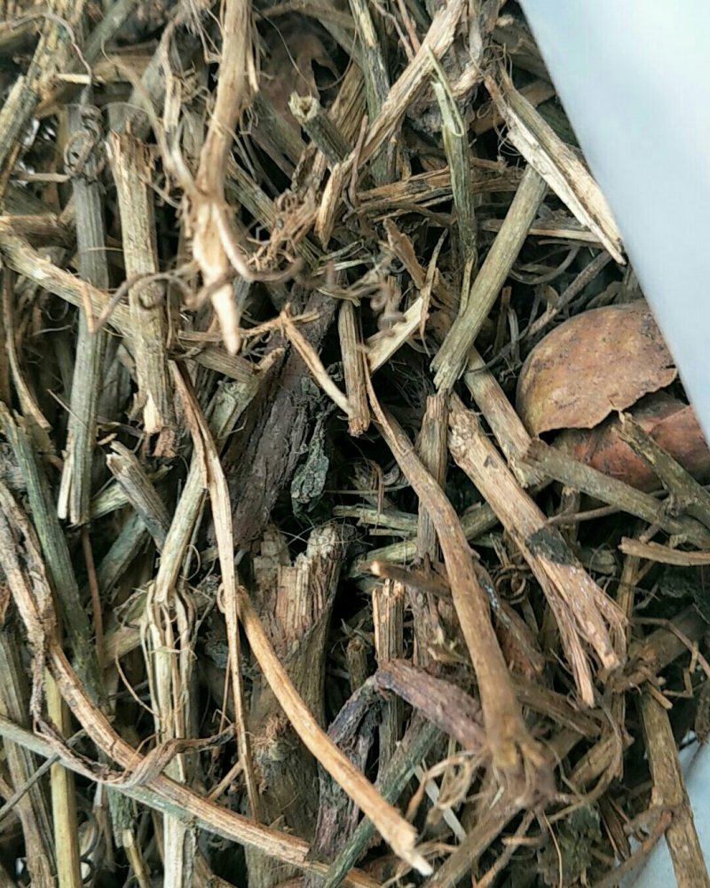 狮子尾，常年批发供应冷背中药材狮子尾
