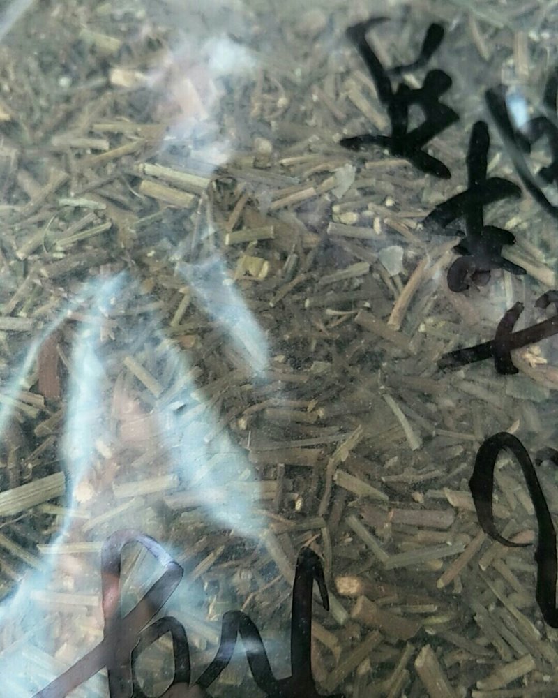 海风藤，常年批发供应中草药海风藤
