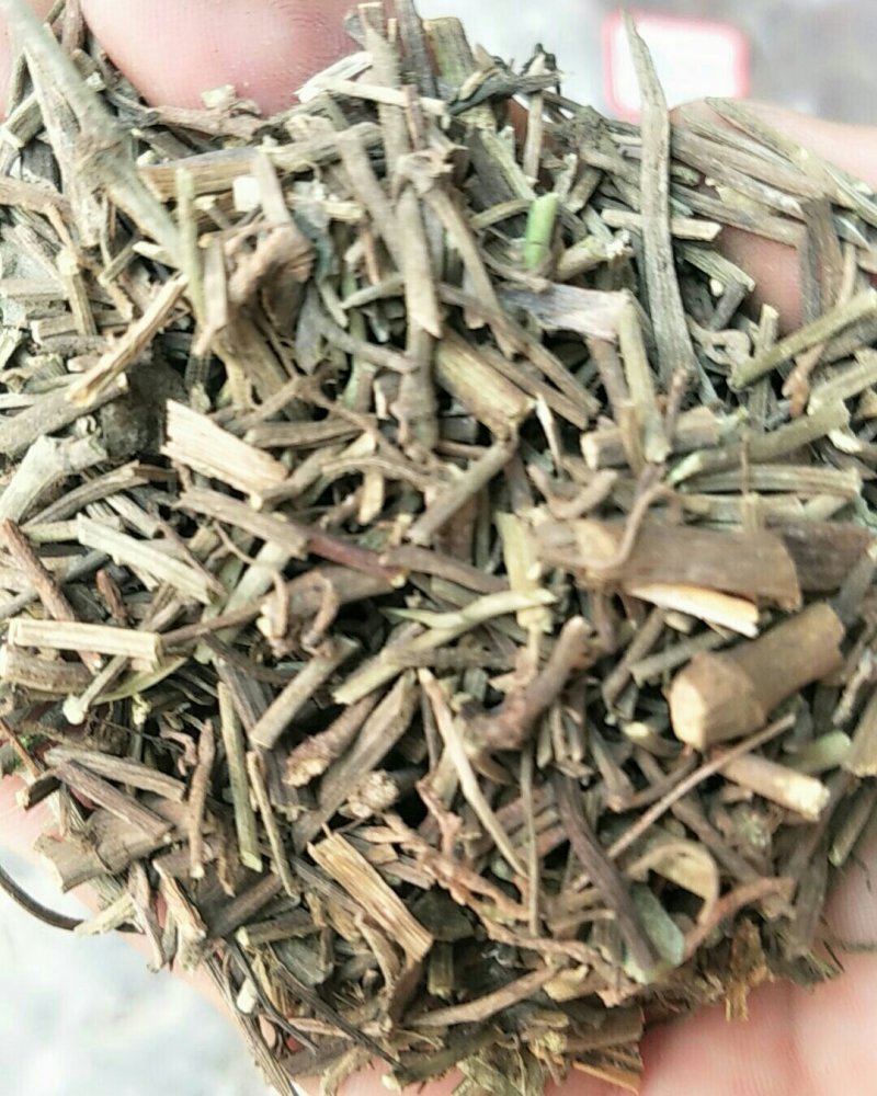 海风藤，常年批发供应中草药海风藤