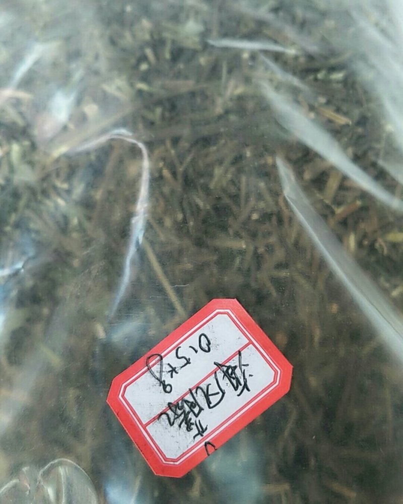 海风藤，常年批发供应中草药海风藤