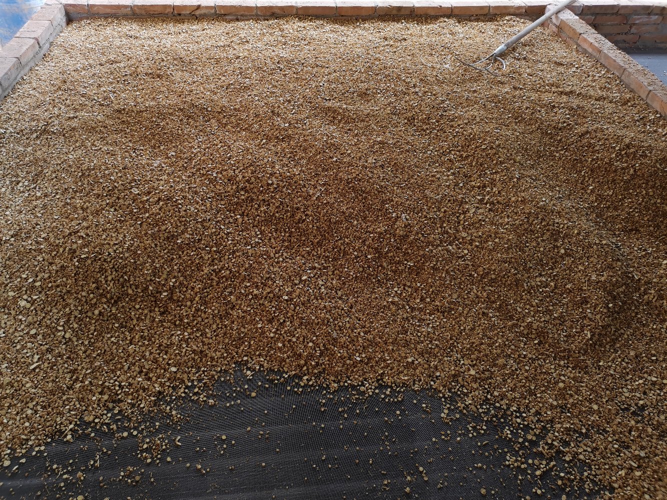 黄芩提取物工厂外观