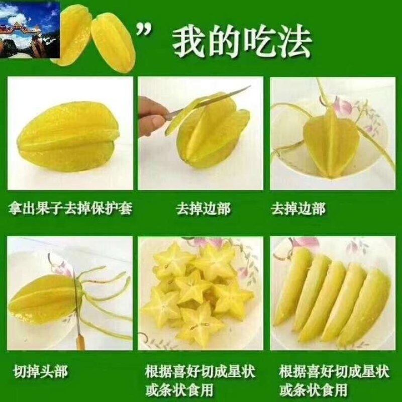 下河杨桃，代办，一件代发，