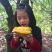 下河杨桃，代办，一件代发，