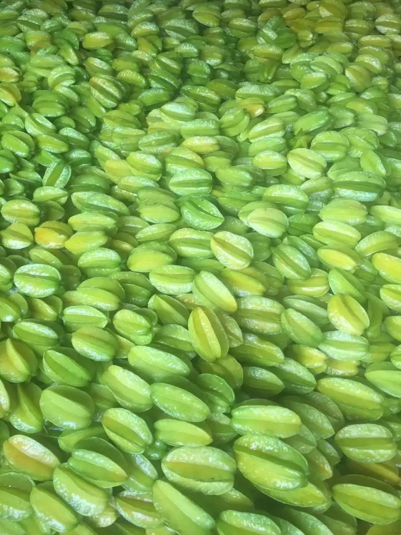 下河杨桃，代办，一件代发，
