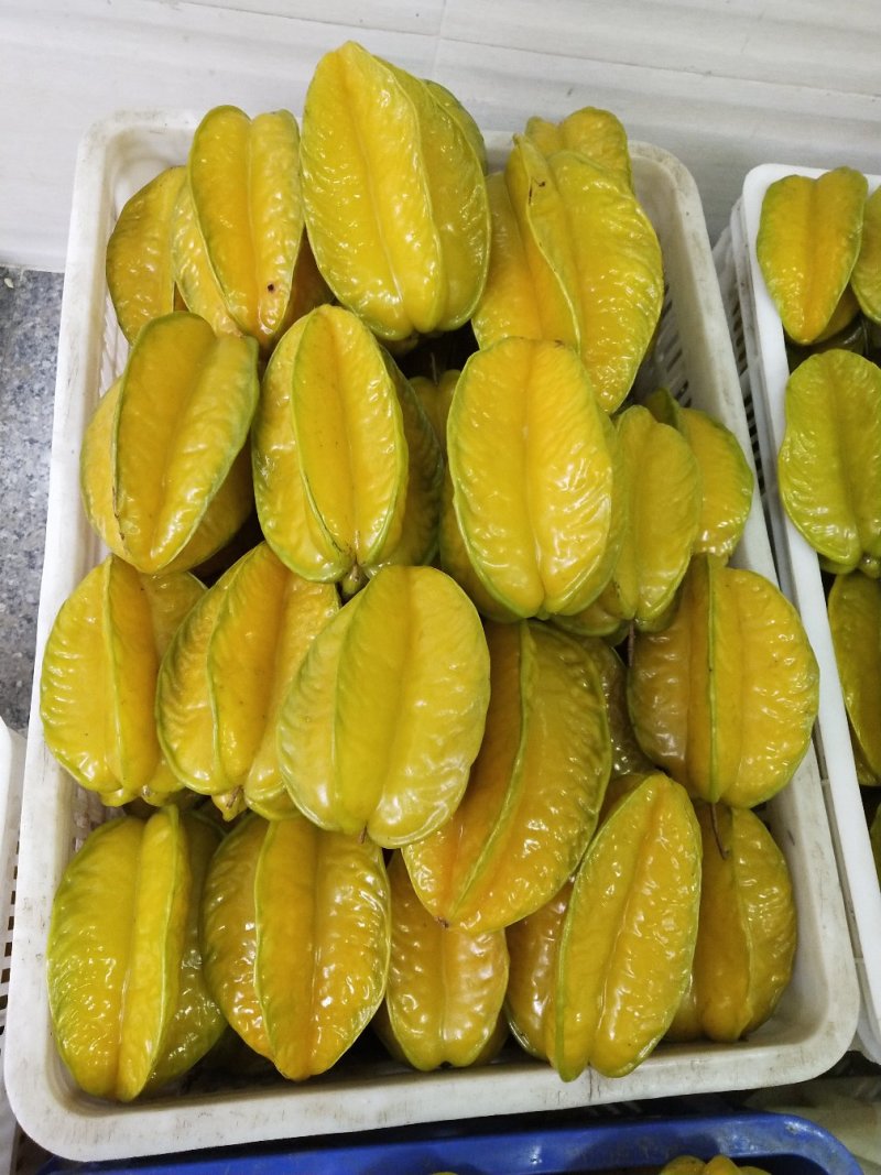 下河杨桃，代办，一件代发，