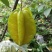 下河杨桃，代办，一件代发，