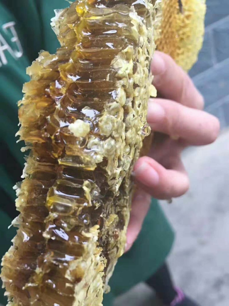 蜜蜂桶诱蜂桶养蜂桶杉木手工制作