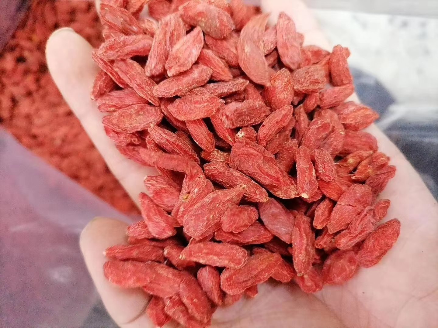 生姜与枸杞组合图