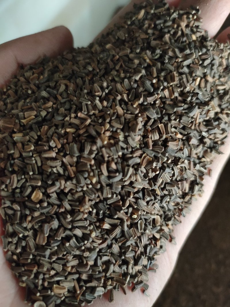 茼蒿菊种子四季播种木春菊茼蒿花种子多年生金黄色太阳花