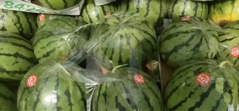8424西瓜大量上市一茬瓜。价格美丽