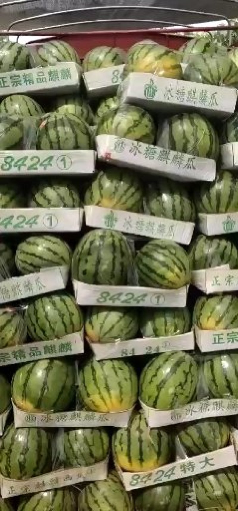 8424西瓜大量上市一茬瓜。价格美丽