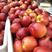 鲁星脆甜油桃，果面全红，硬度好产地直销质量保证欢迎采购