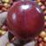 鲁星脆甜油桃，果面全红，硬度好产地直销质量保证欢迎采购