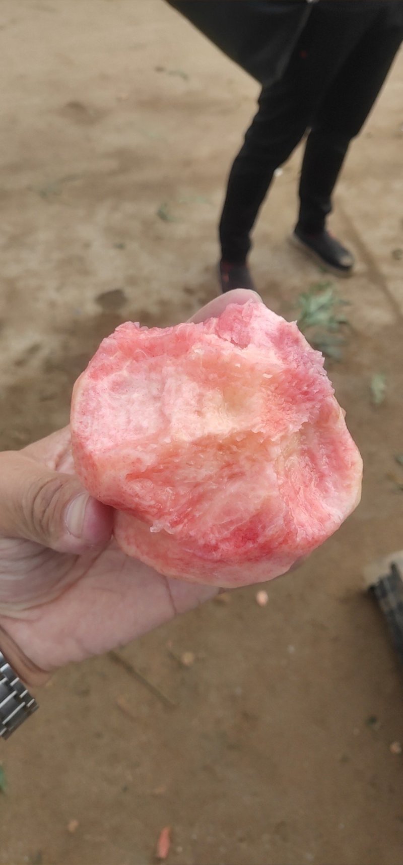 毛蟠桃，产地一手货源，对接电商，团购，批发市场，超市