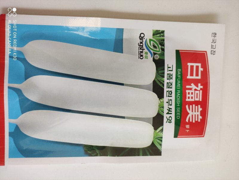 白福美白皮萝卜种子长圆筒形耐抽苔不易糠心