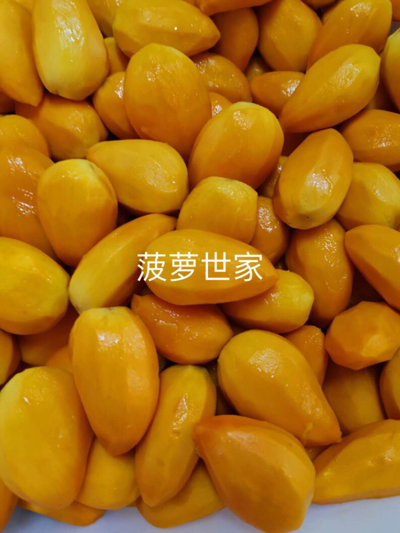 960升台农芒果浆，天然果肉果汁