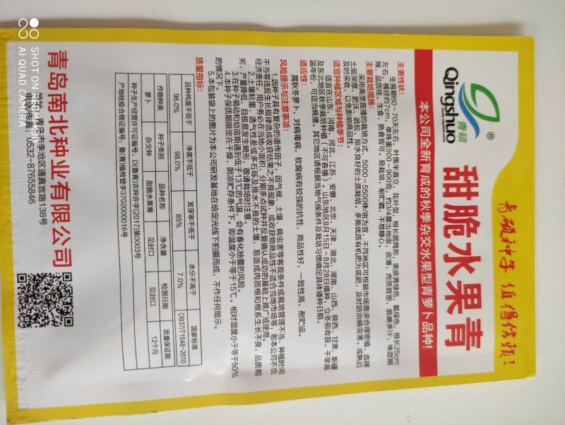 甜脆水果青萝卜种子表皮青绿色瓤绿色