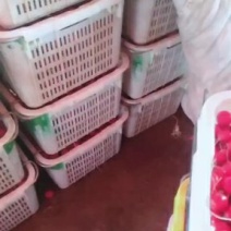 樱桃萝卜