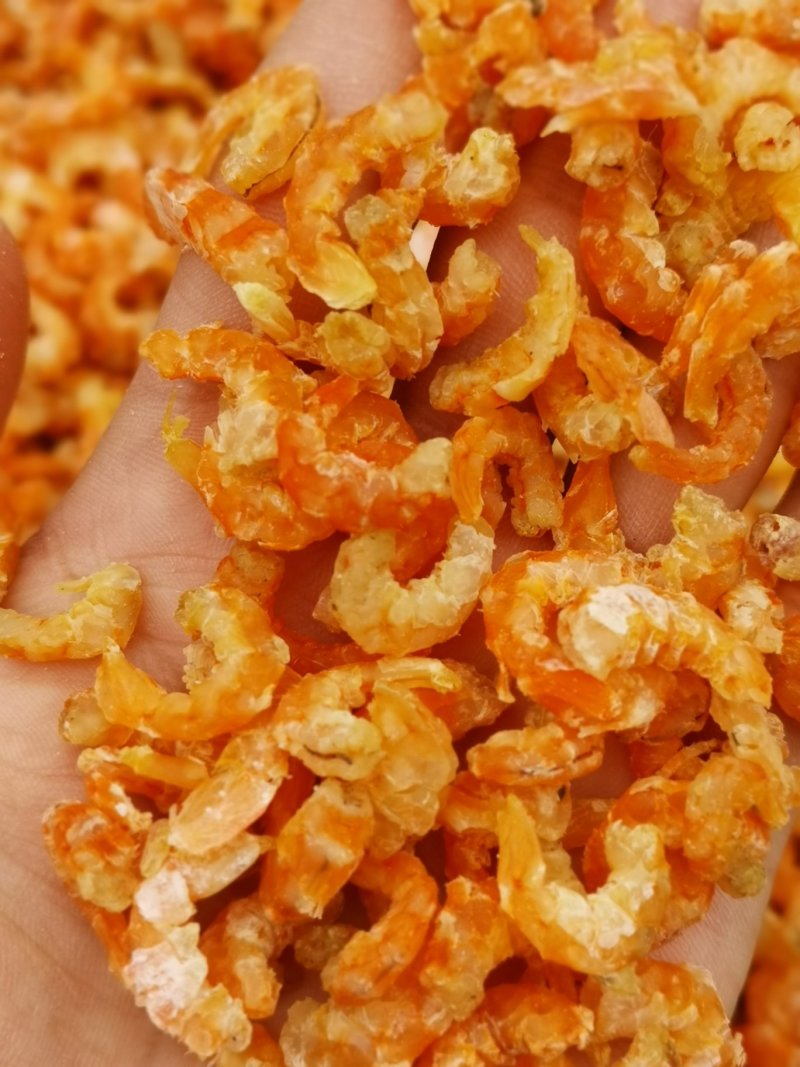 深海虾米舟山虾米（大货批发）