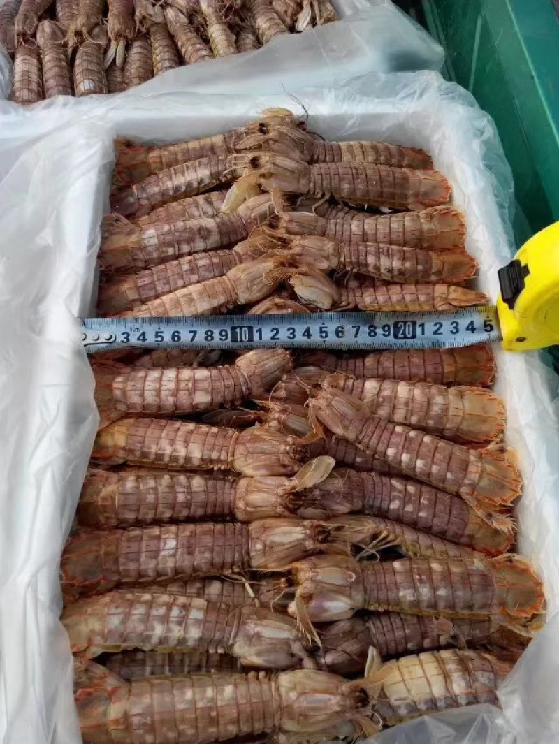 爬虾皮皮虾自家工厂熟冻自助餐专用熟冻爬虾