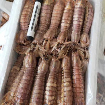 爬虾皮皮虾自家工厂熟冻自助餐专用熟冻爬虾