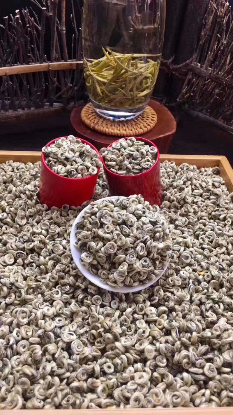 茉莉花茶白玉螺新茶玉螺王花香浓郁支持线上保障交易