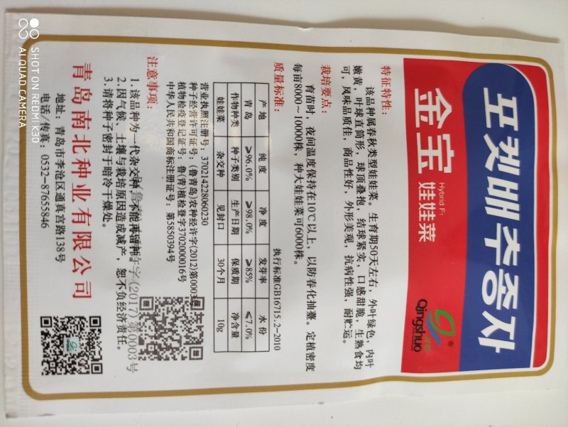 金宝娃娃菜种子属春秋类型娃娃菜口感甜脆抗病性强