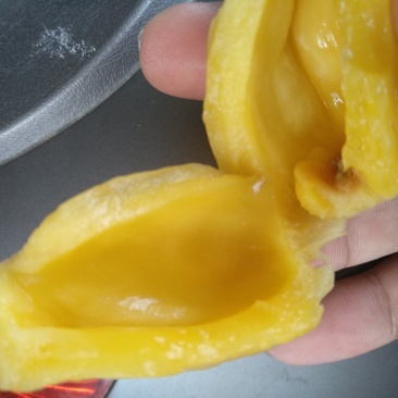 广东菠萝蜜