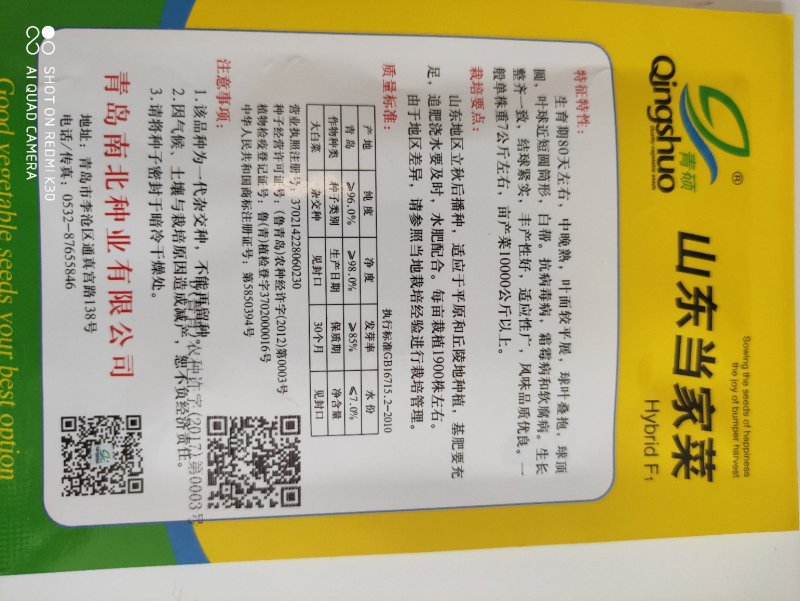 秋丰宝白菜种子抗病丰产可延迟收获的秋冬晚熟品种